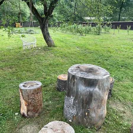 Pensiunea Felyviss Maison d'hôtes