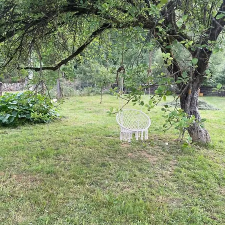 Pensiunea Felyviss Maison d'hôtes *